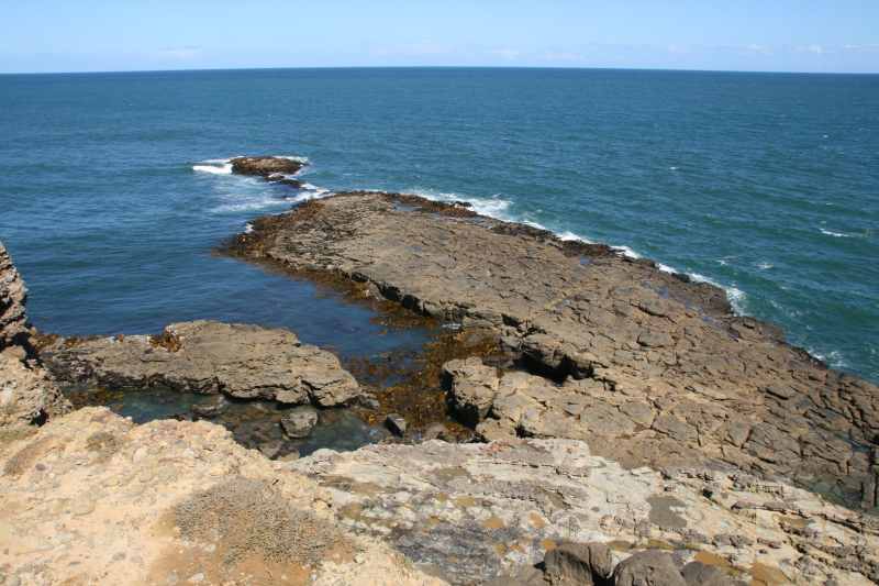 Nieuw-Zeeland 2011 - 1800